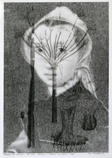 Caterina van Hemessen (1528–1587) Brudelys (Butonus umbellatus) sjelden, Gerd M. Tinglum. Fotograf: Anne Grete Thoresen