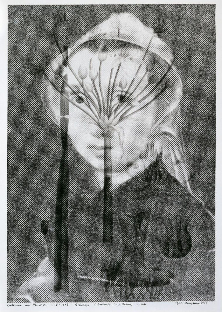<em>Caterina van Hemessen (1528–1587) Brudelys (Butonus umbellatus) sjelden</em>, Gerd M. Tinglum. Photographer: Anne Grete Thoresen