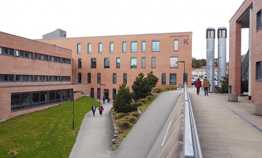 Universitetet i Agder, Campus Kristiansand, K-bygg, Gimlemoen. Fotograf: Cathrine Wang / KORO