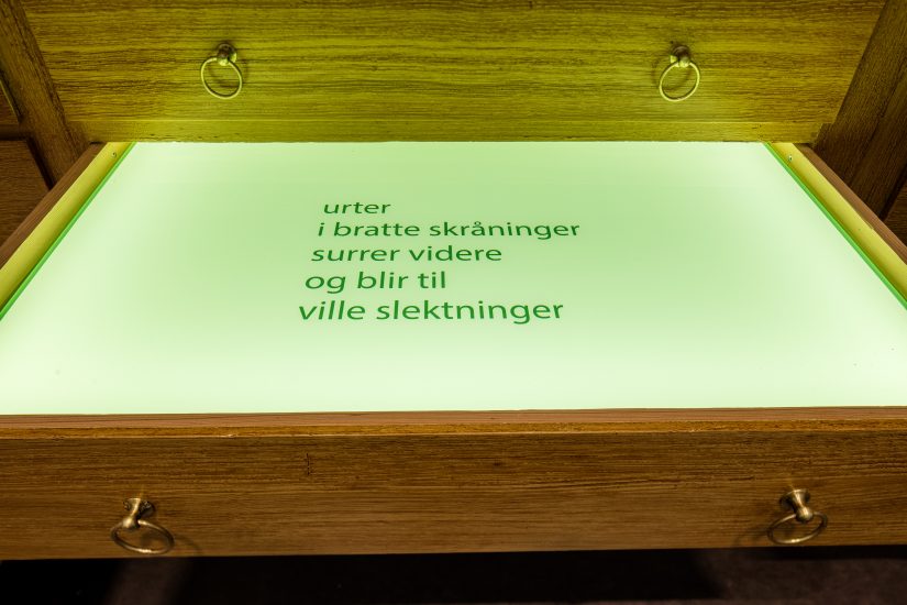 Frøfortellinger/ Stories of seeds, Hanne Tyrmi. Fotograf: Marius Hauge
