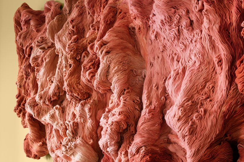 <em>Shades of Rubia Tinctorum</em>, Hanne Friis. Photographer: Marius Hauge