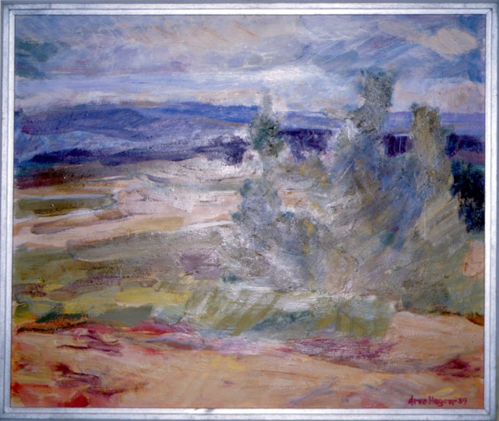 <em>Fjellandskap</em>, Arve Hagen.