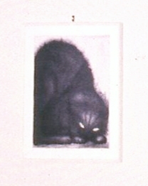 <em>Tom katt</em>, Birgitta Kumlien Nyheim. Photographer: Ukjent