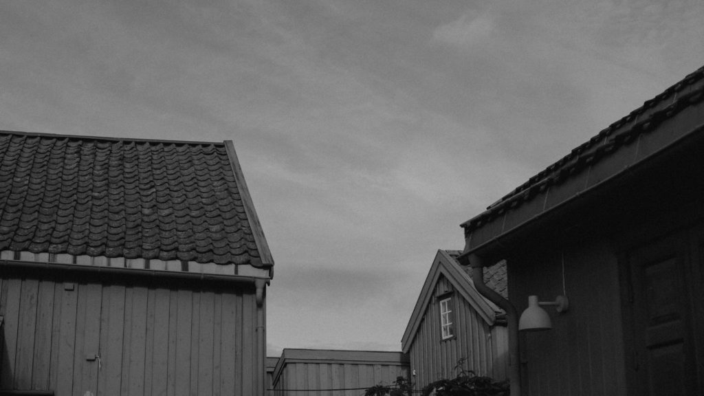Skansen i tromsø, kunstverk