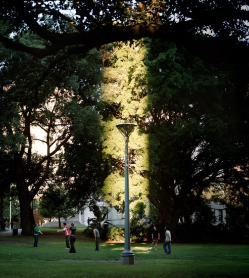 <em>Park Scene</em>, Dag Nordbrenden. Photographer: Dag Nordbrenden