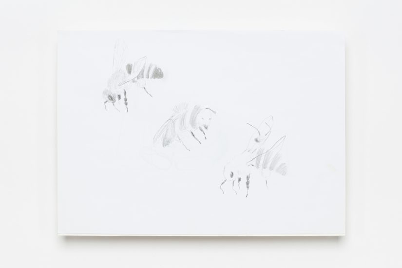 <em>Ephemerality – A Permanent Collection (65)</em>, Anne Knutsdatter Wille. Photographer: Vegard Kleven