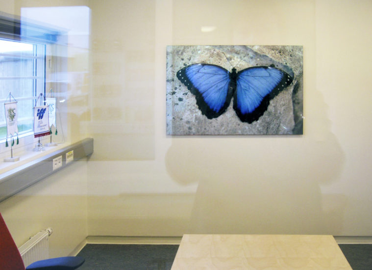 Papillon, Jenny-Marie Johnsen. Fotograf: Solveig Ovanger