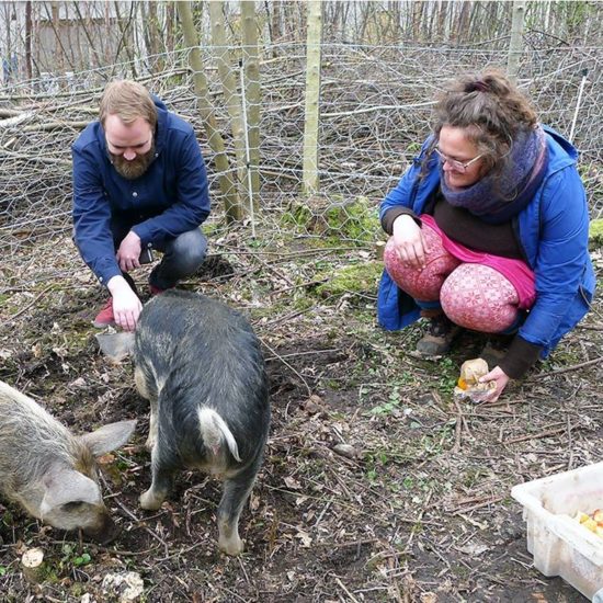 <em>Vågestykke #0 Grisane kjem</em>, Kunstner Margrethe K. Brekke mater grisene med mat fra SIB, Studentkantinen i Bergen. Photographer: KORO