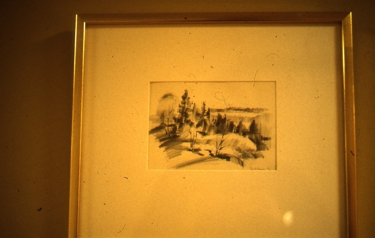 <em>Vinterlys</em>, Per Harald Hansen. Photographer: Registrar 2