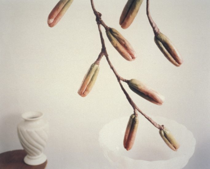 <em>Space Invaders</em>, Jenny Rydhagen. Photographer: Jiri Havran