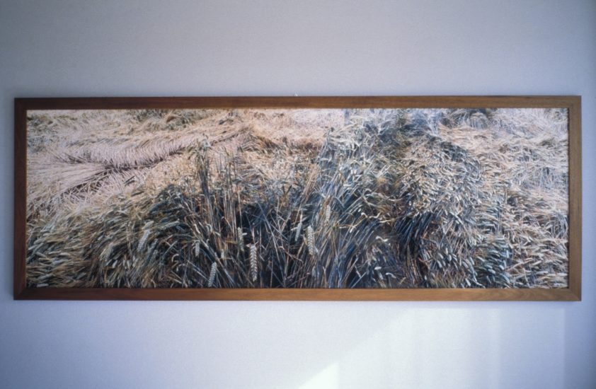<em>Fluen</em>, Mikkel McAlinden. Photographer: Jiri Havran