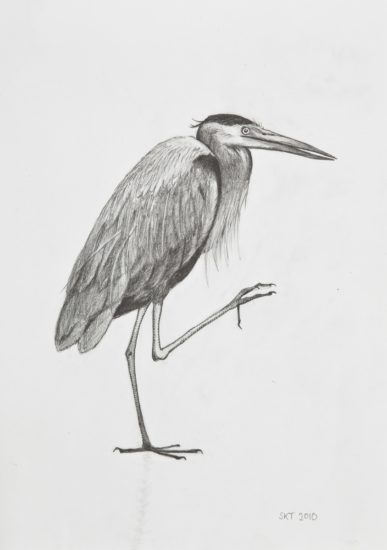 <em>Hegre</em>, Susanna Kajermo.