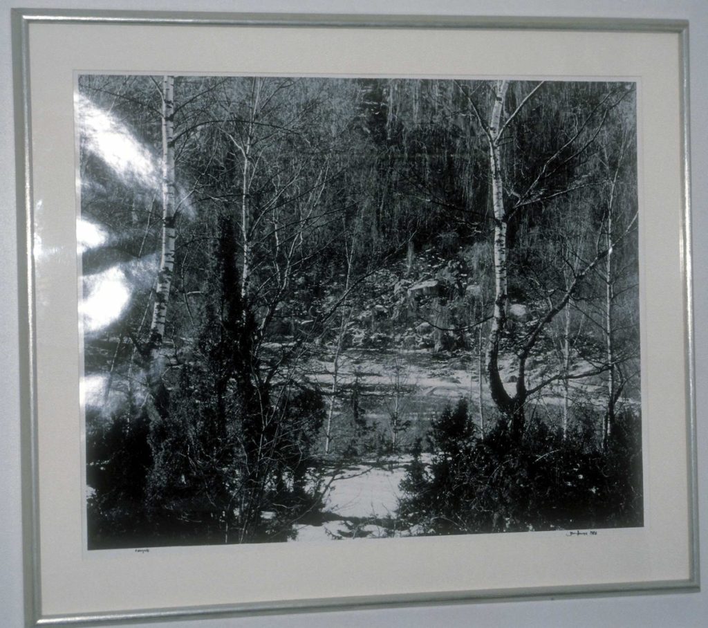 <em>Landskap, Mo, Lærdal</em>, Jens Hauge. Photographer: Ukjent