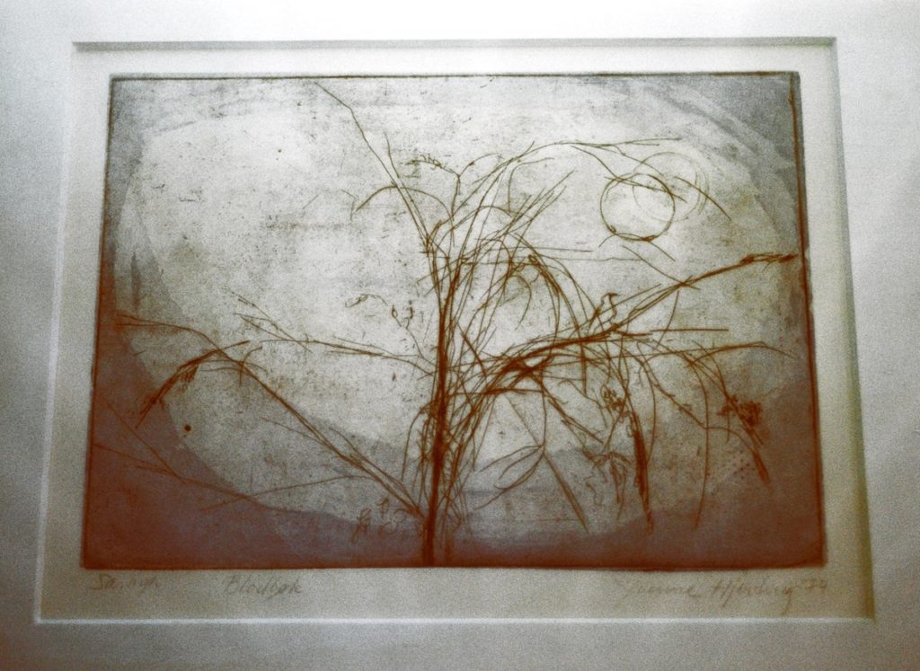 <em>Blodbøk</em>, Yvonne Hjerting. Photographer: Thor Sæther