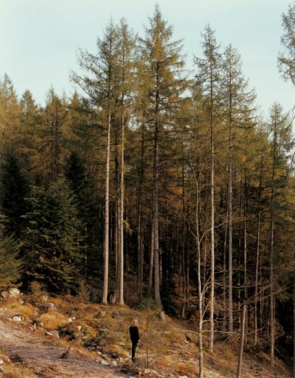 <em>I et norsk landskap nr. 13</em>, Torbjørn Rødland. Photographer: Torbjørn Rødland