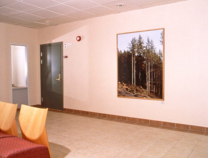<em>I et norsk landskap nr. 13</em>, Torbjørn Rødland. Photographer: Dannevig Foto