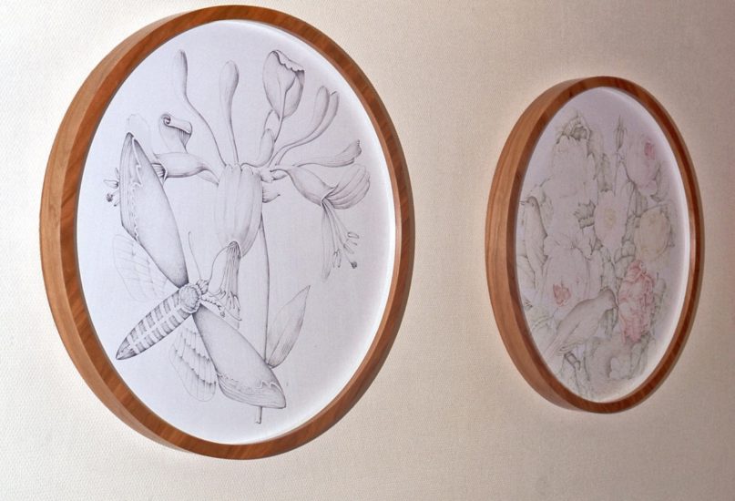 <em>Wonders of nature</em>, Hege Nyborg. Photographer: Anne-Grethe Thoresen