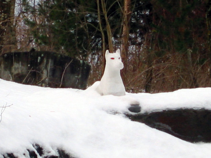 Albino, Inghild Karlsen. Fotograf: Edith Lundebrekke