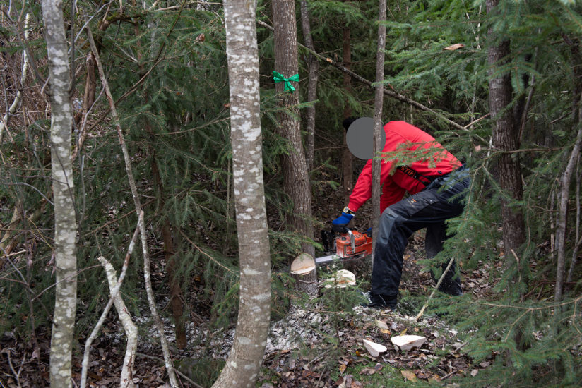 Workshop, Vougas har sammen med innsatte og ansatte i fengslet, og Rud videregående skole bygget verket Flukthus / Báhtarangoahti. Vougas lea ovttasbargan giddagasain ja virggesain giddagasas, ja Rud joatkkaskuvlla olggobealde oahppiin ráhkadan dáiddadaga Báhtarangoahti / Flukthus. Fotograf: Thomas Tveter