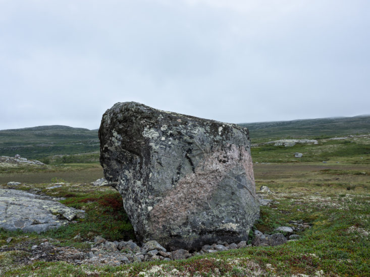 <em>Veståsen 48</em>, Per Berntsen. Photographer: Per Berntsen